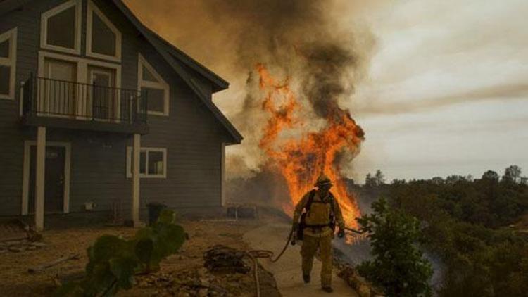 Californiada orman yangını OHALi