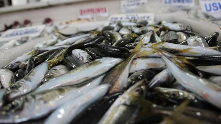 Marmara Denizinde balık az olunca fiyatlar düşmedi