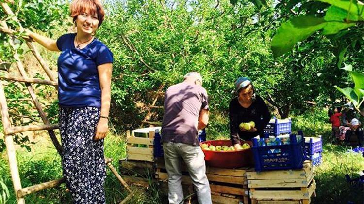 Elma üreticisi köylülere çevrecilerden hasat desteği