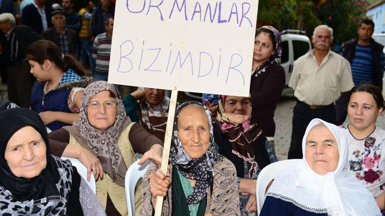 Çam balı ile ünlü Dereköy’de, RES için ağaç katliamı tepkisi