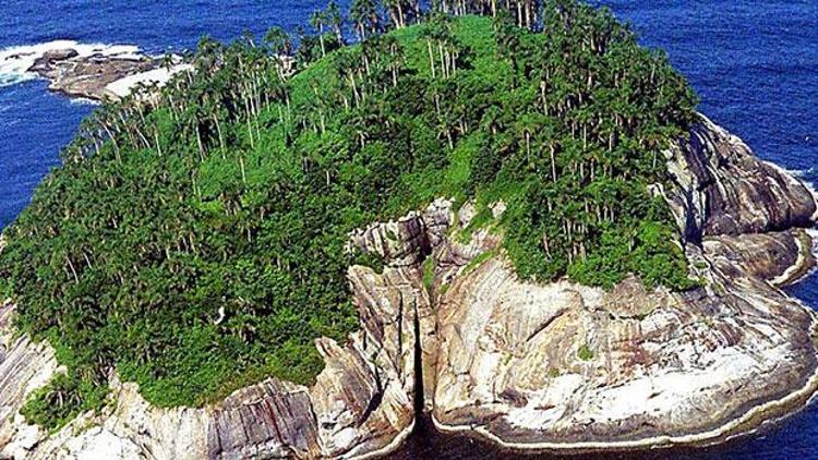 Dünyanın en tehlikeli adası: Ilha de Queimada Grande