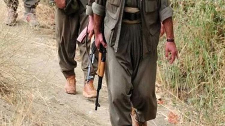 Karakoçanda PKK operasyonu: 9 gözaltı