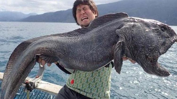 Japonyada yakalanan dev balık şoke etti