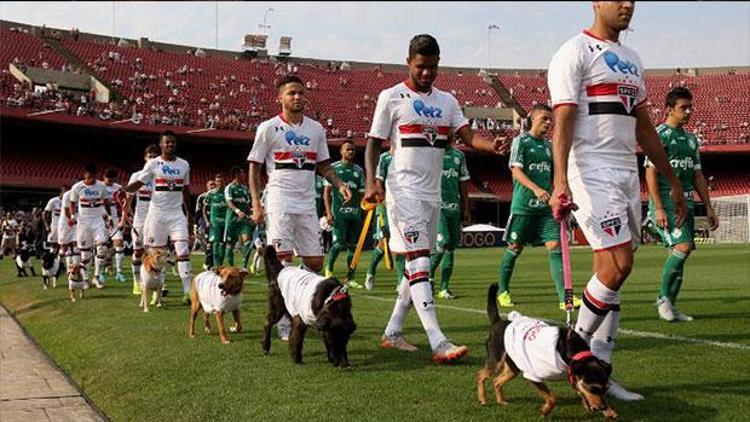 Sao Paulo Futbol Takımı sahaya köpeklerle çıktı