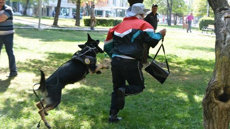 K-9’lar iş başında