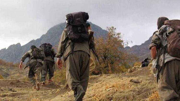 PKKya bir darbe daha Eyalet sorumlusu yakalandı