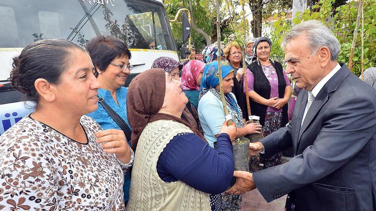 Büyükşehir’den 1.1 milyon meyve fidanı