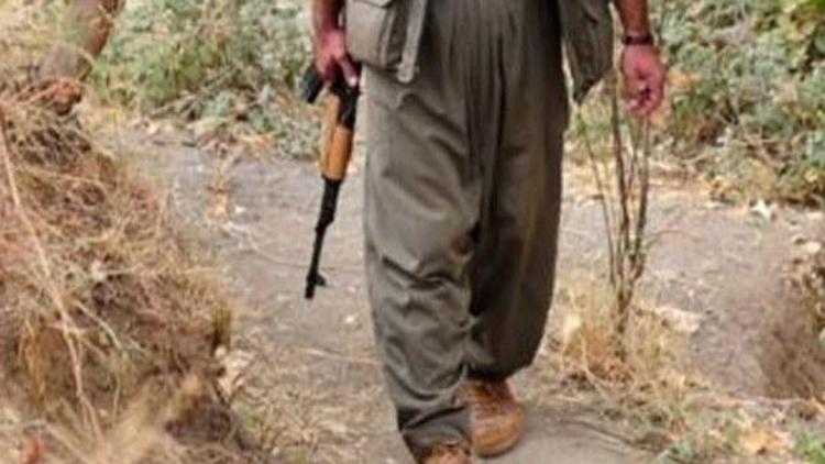 Tuncelide 1 PKKlı öldürüldü