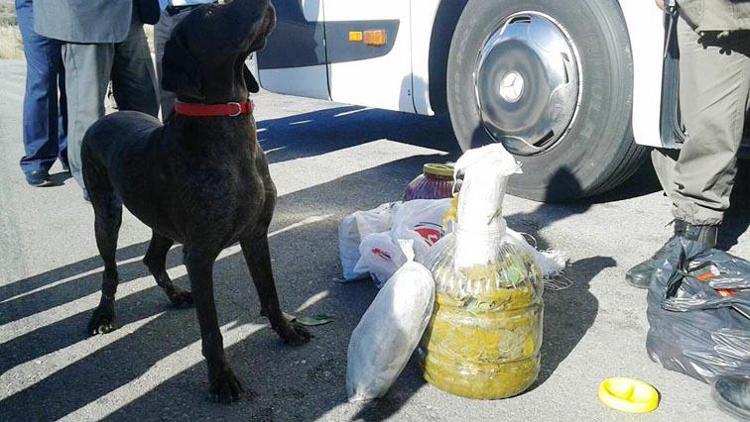 Otobüsteki 1.7 kilo esrar ’Vicdan’dan kaçamadı