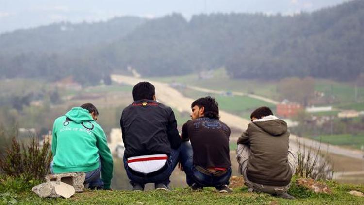 O tepe zehir terasına döndü