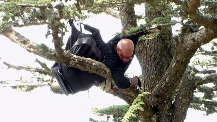 Üzerine düştüğü ağaç yamaç paraşütçünün hayatını kurtardı
