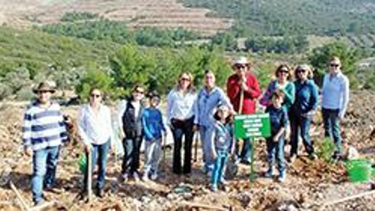 Rotary’den vefa ormanı