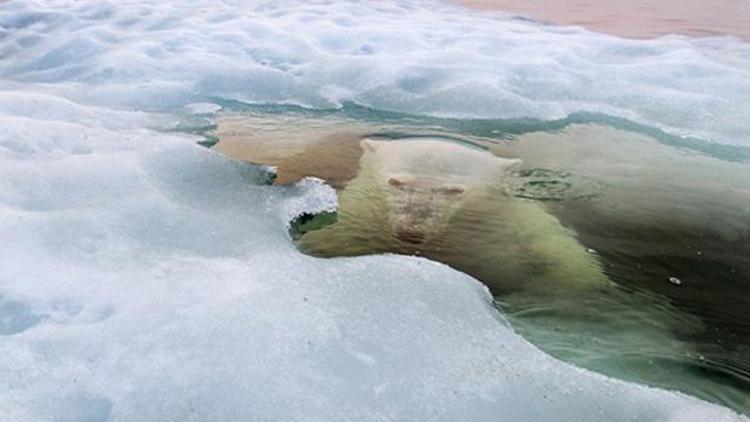 National Geographic 2013 Fotoğraf Yarışması sonuçlandı