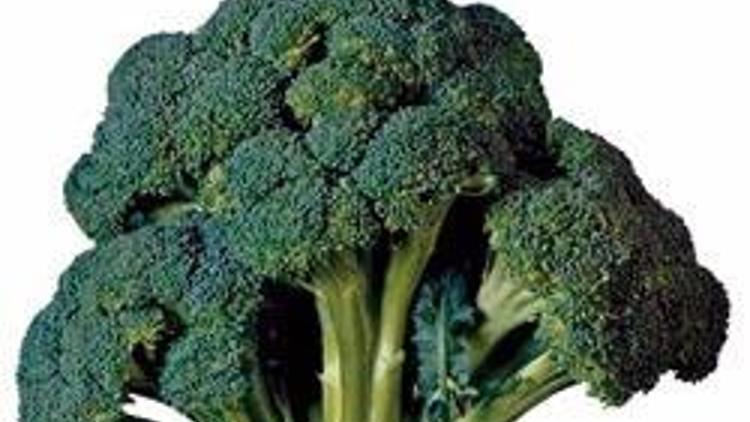 Bol brokolili bir sempozyum