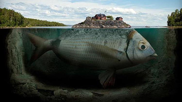 Erik Johanssonın imkansız fotoğrafları