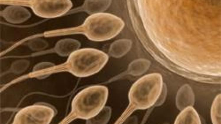 Danimarka’da ‘bozuk sperm’ alarmı