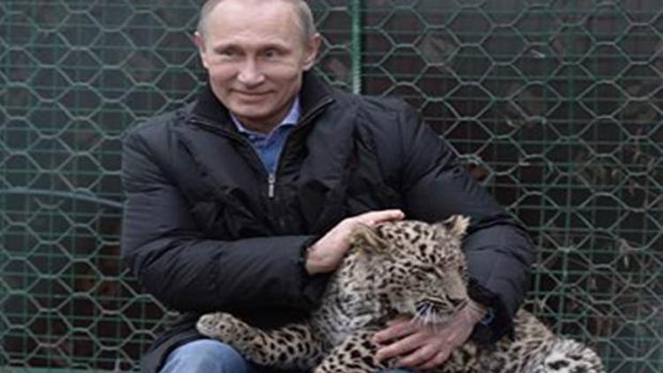 Putin leopar kafesine girdi