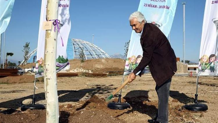 Ünlü orkestra şefi diktiği çınar ağacını öptü, can suyu verdi