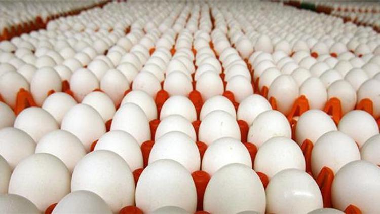 Türkiyede yumurta üretimi