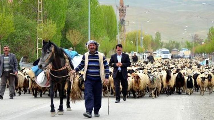 Bu işi yapan asgari ücretten fazla kazanıyor