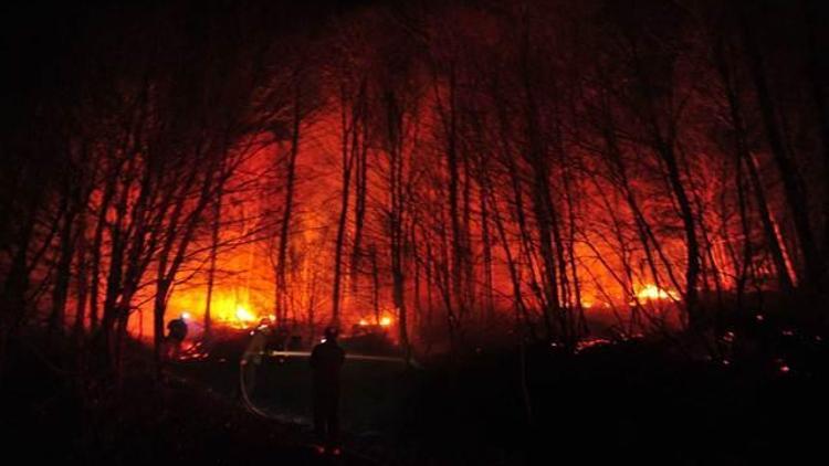 Lodos orman yangınına neden oldu