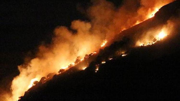 Fethiyede kamp ateşi ormanı yaktı