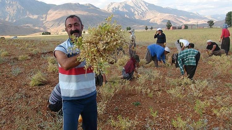 Ovacık Belediye Başkanı 78 öğrenciye burs veriyor