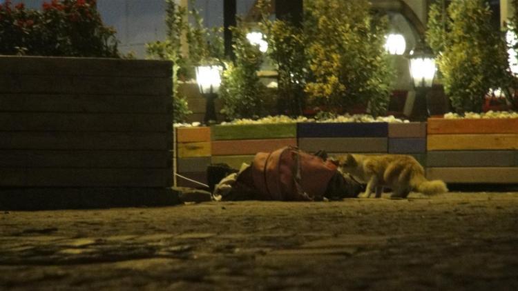 Ortaköy’de şüpheli çanta alarmı