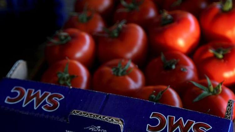 Rusya, Türkiyeden meyve sebze ithalatını yasakladı