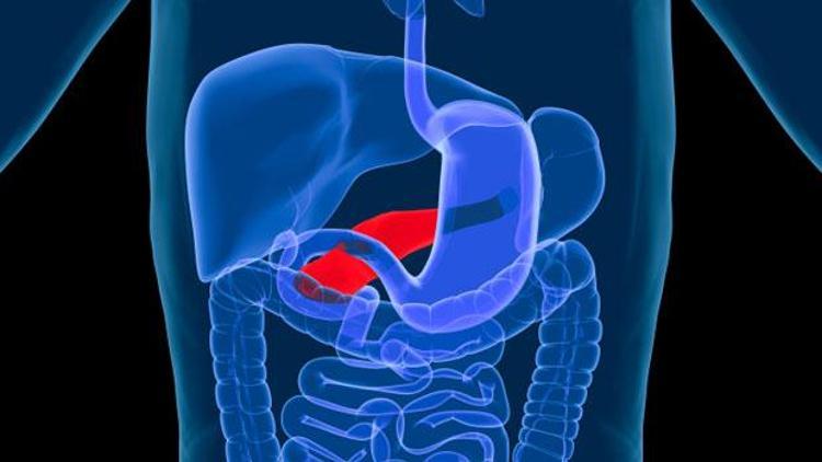 Diyabetten kurtulmanın anahtarı pankreastan 1 gram yağ kaybetmek