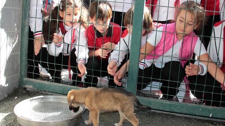 105 şanslı yeni evinde