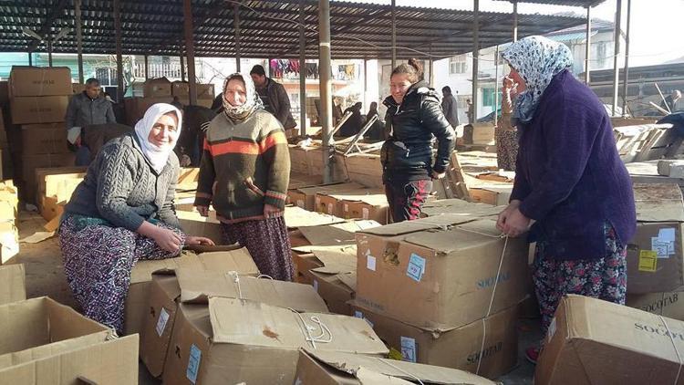 Selendide yeni mahsül tütün alımı başladı