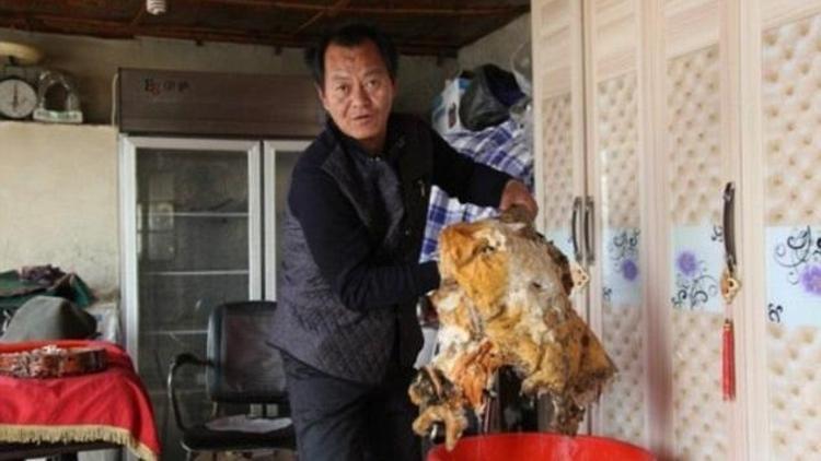 Çinli çiftçi, bulduğu dev mantarın ölümsüzlük verdiğini iddia ediyor