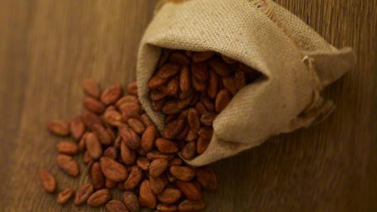 Emtia yatırımcıları 2015te kakaoyla kazandı