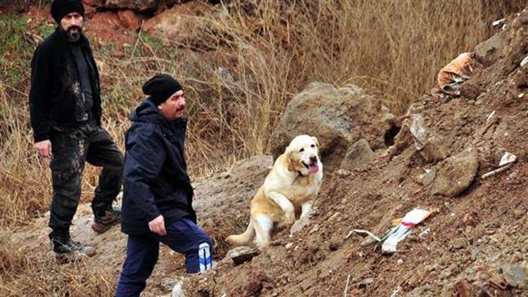 Kayıp çocukları özel eğitimli köpekler arıyor