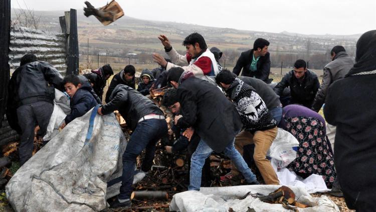 Elazığ’da Suriyelilerin odun kapma izdihamı