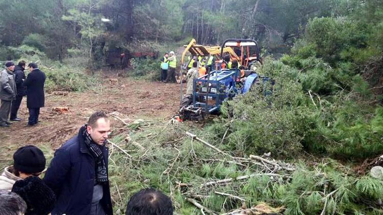 RES için ağaç kesimine müdahale