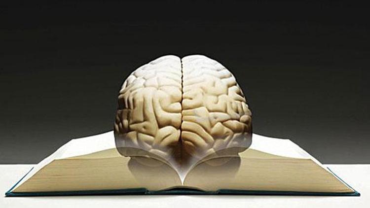 İnsan beynine 4.7 milyar kitap sığıyor