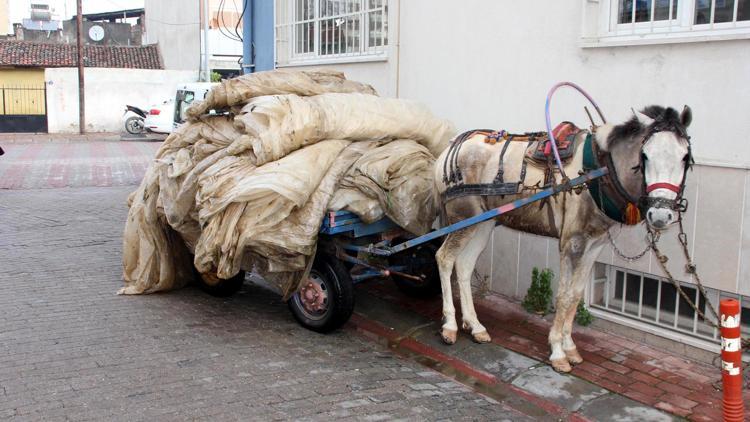 Bunlar da naylon avcısı