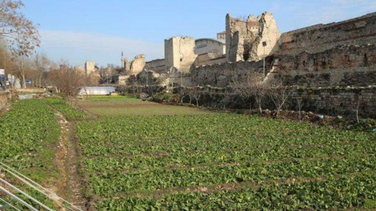 Yedikule Bostanları: Bostancılar tedirgin, uzmanlar uyarıyor