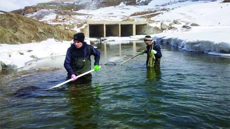 Dicle kirlenmesin ‘Ala’sı ölmesin