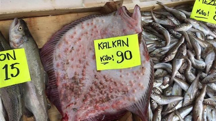 Kalkan balığının kilosu 90 liraya çıktı