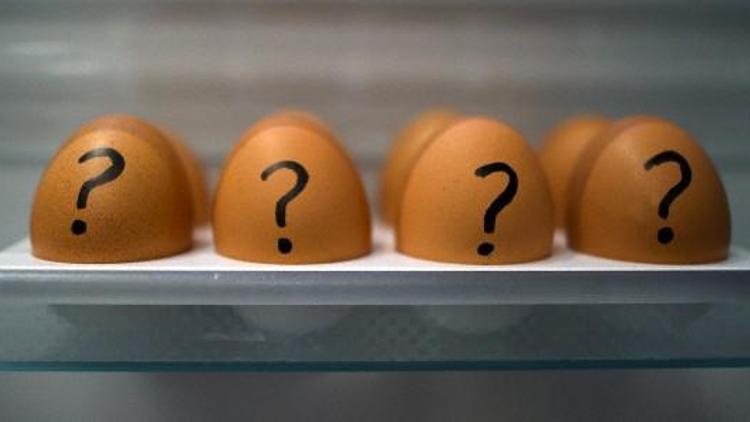 Yumurtaları neden oda sıcaklığında değil, buzdolabında saklıyoruz