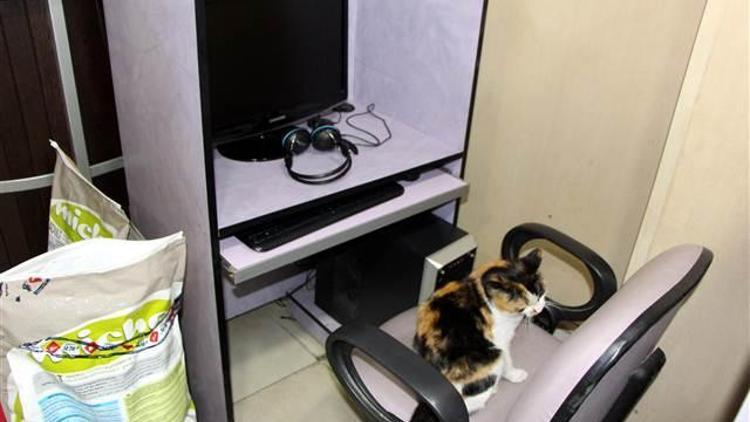İşyerinde kedi beslemek ruhsat iptal nedeni