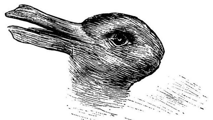 Ördek mi tavşan mı İşte hurriyet.com.tr okurlarının yanıtı