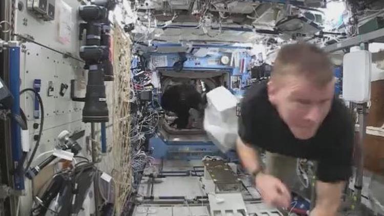 Uluslararası Uzay İstasyonunda goril paniği