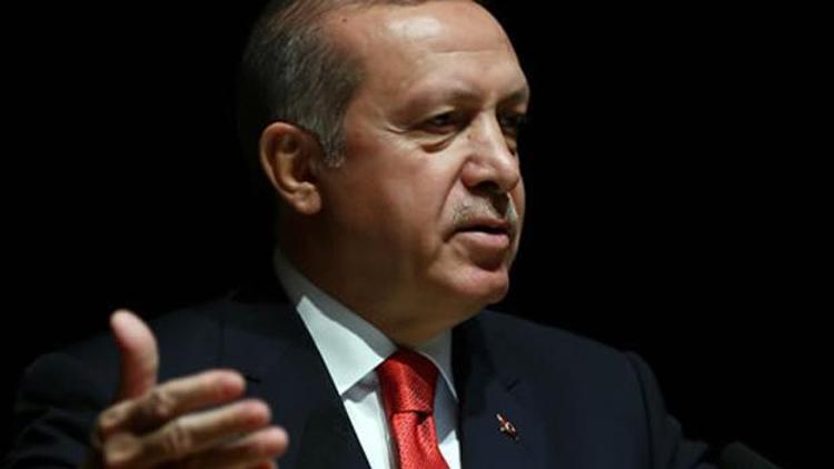 Cumhurbaşkanı Erdoğandan Cerattepe çıkışı: Bunlar da yavru Geziciler