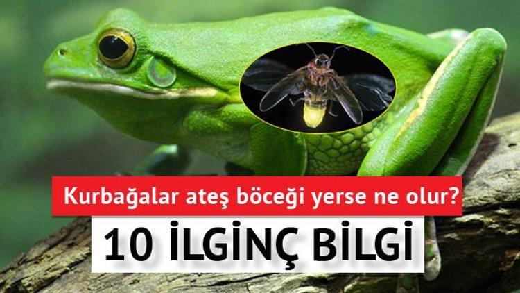 Daha önce hiç duymadığınız 10 ilginç bilgi