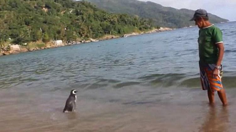 Brezilyalı yaşlı adam ile hayata döndürdüğü penguenin ilginç hikâyesi