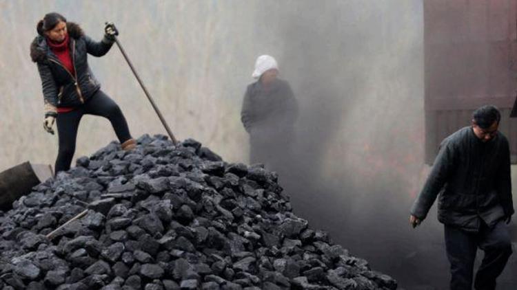 Yeşil Düşünce Derneğinden, Türkiyenin Kömür Hikayeleri